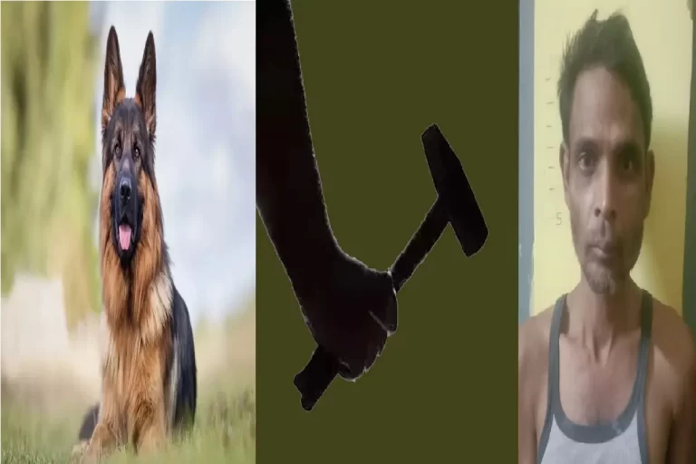 रायपुर-बिरगांव समाचार: कुत्ता खरीदने के पैसे नहीं देने पर बेटे ने बुजुर्ग मां की हत्या की