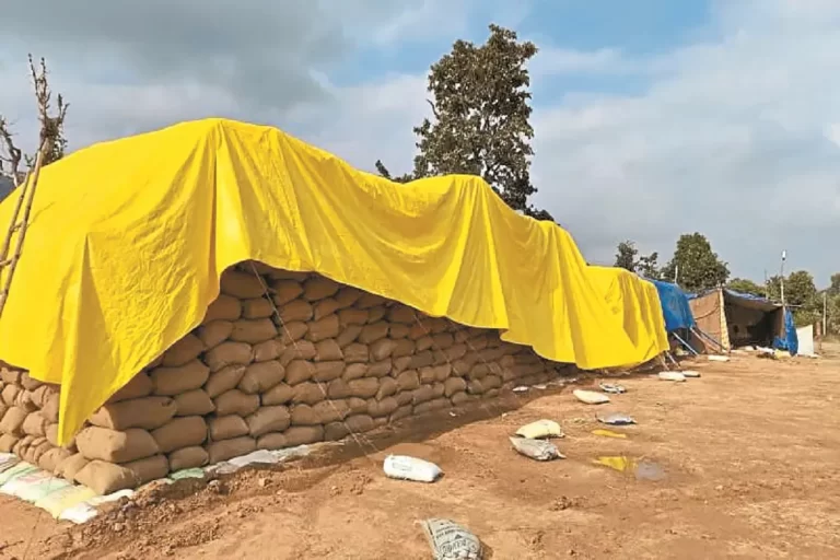 धान की नीलामी में भारी नुकसान की आशंका: बस्तर संभाग में खुले में पड़ा 20 लाख क्विंटल धान