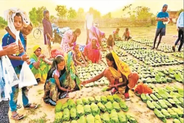 बस्तर में मौसम बना बाधा, तेंदूपत्ता संग्रहण और खरीदी कार्य पर पड़ा असर