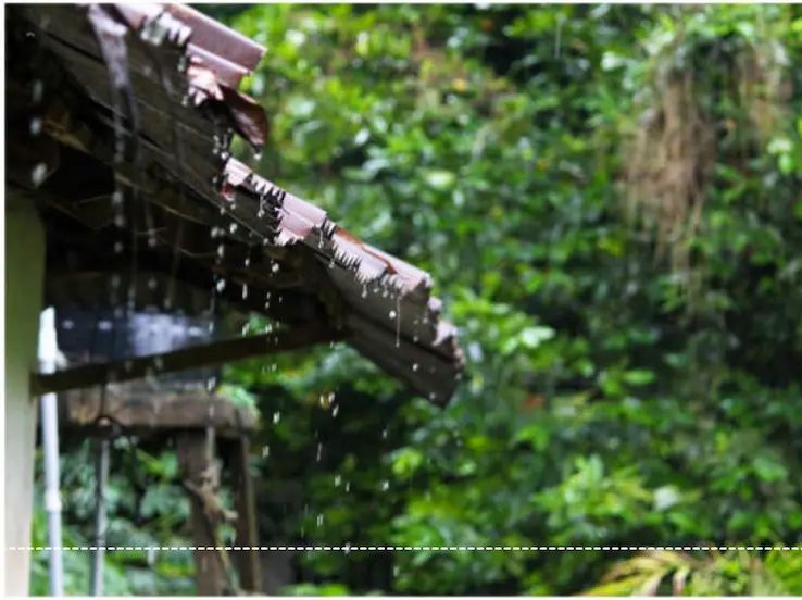 मॉनसून 2025: बारिश से राहत, मौसम में बनी रहेगी नरमी