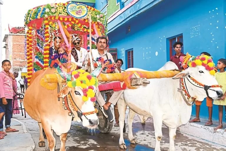 बैलगाड़ी से निकली अनोखी बारात, गांववालों को दिलाई पुराने दिनों की यादें