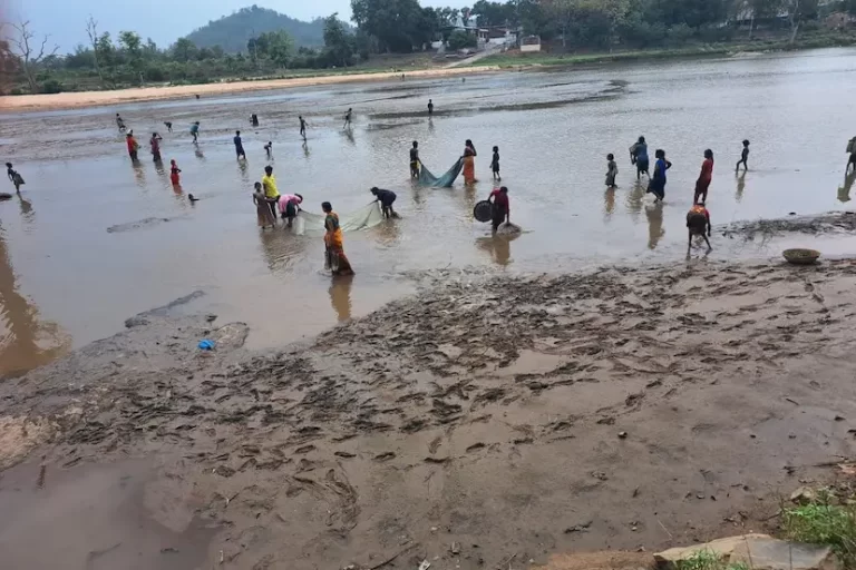 कन्हर एनीकट से तेजी से पानी का बहाव, जल स्तर घटने पर मछली पकड़ने वाले उमड़े
