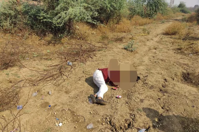 Crime News: सिंचाई विभाग के कर्मचारी की सिर कुचलकर निर्मम हत्या, खेत में मिली लाश से सनसनी