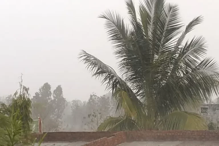 छत्तीसगढ़ में 5 जून तक दस्तक देगा मानसून, आंधी-बारिश का अलर्ट जारी