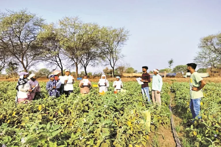 महिलाओं को फूलों की खेती की दी जा रही ट्रेनिंग, बन रही आत्मनिर्भर