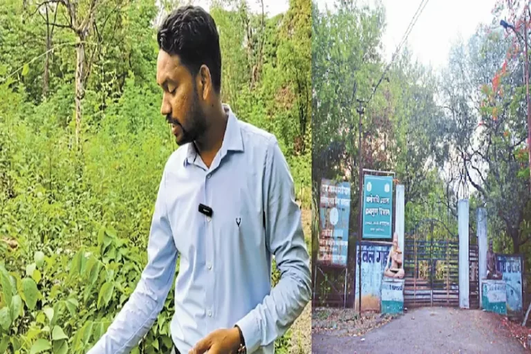 रायपुर का अनोखा हर्बल गार्डन: जहां प्राकृतिक खुशबू से मिटती है थकान और तनाव