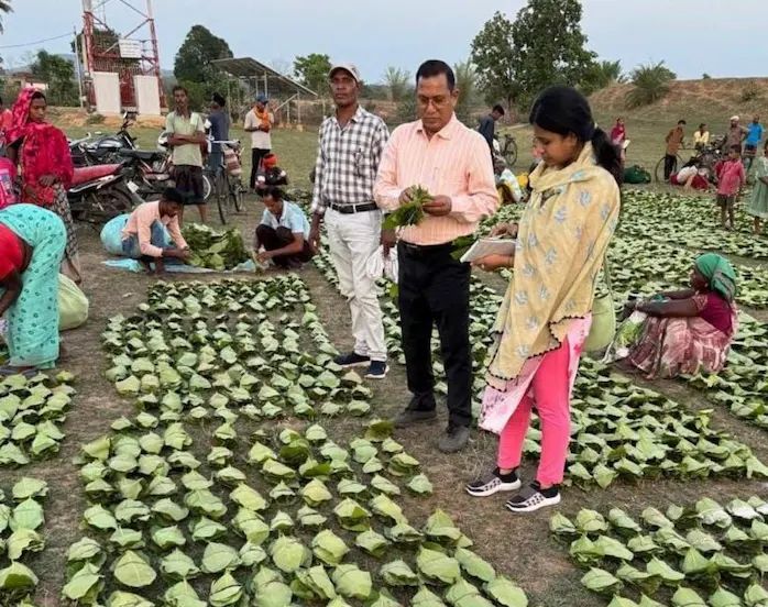 छत्तीसगढ़ सरकार का वादा पूरा: तेंदूपत्ता संग्राहकों को चरण पादुका वितरण का होगा शुभारंभ, CM साय 21 जून को करेंगे योजना की शुरुआत