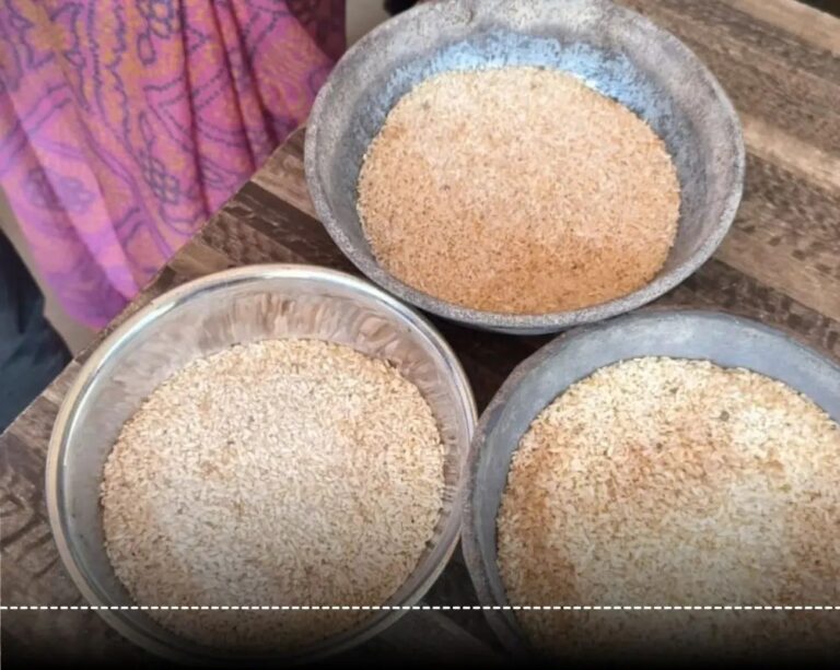 खराब चावल वितरण पर हंगामा: नवापारा में 1000 बोरी चावल सड़ा हुआ निकला, लोगों का फूटा गुस्सा