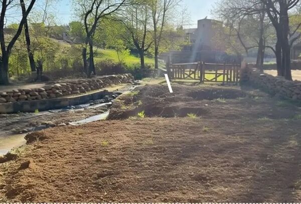 फर्जी दस्तावेज़ से करोड़ों की ठगी: मृतकों के नाम पर बनाई पावर ऑफ अटॉर्नी, बुजुर्ग महिला की जमीन बेच दी