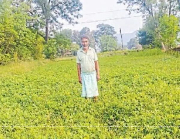 DAP की किल्लत से किसानों की बढ़ी चिंता, NPK भी नहीं मिल पा रहा, मंत्री दे चुके हैं सप्लाई बढ़ाने के निर्देश