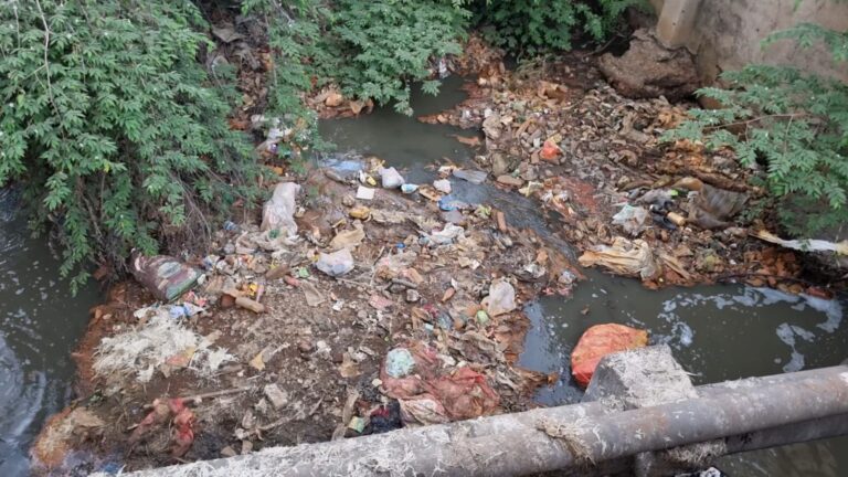 बिरगांव : नाले की सफाई महीनों से बंद, बदबू और बीमारी से लोग परेशान