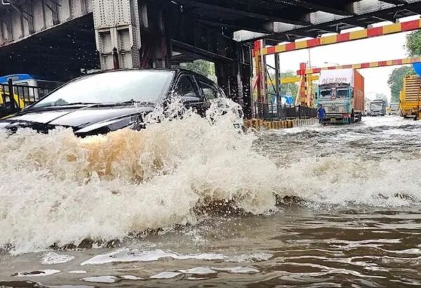 मानसून ने पकड़ी रफ्तार, 14 जिलों में बारिश का अलर्ट, तेज हवाओं के साथ बिजली गिरने की चेतावनी