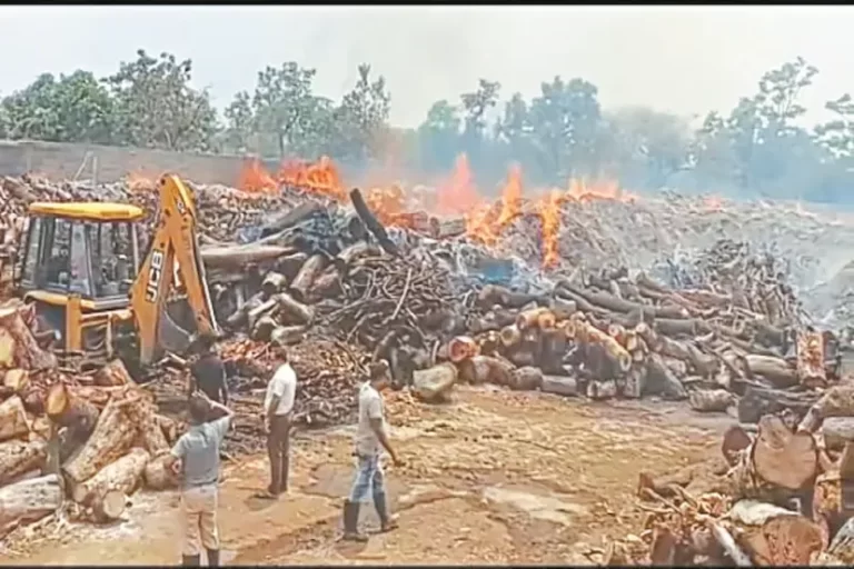 कौन है इस आगजनी के लिए जिम्मेदार?