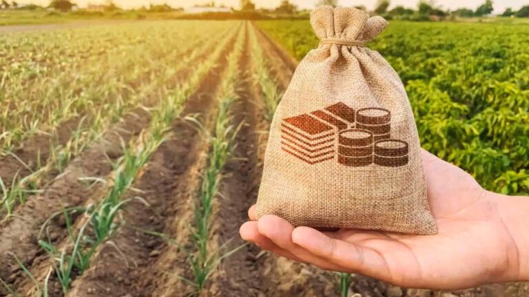 CG News: खरीफ सीजन के लिए सहकारी बैंकों में किसानों की भीड़, 470 करोड़ के कृषि ऋण वितरण का लक्ष्य