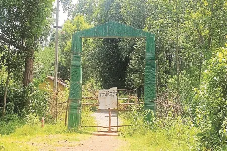 आसना पार्क में अनैतिक गतिविधियों और सुरक्षा कारणों से प्रतिबंध, वन विभाग ने उठाया कदम