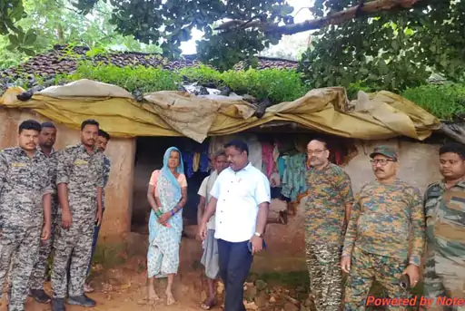 रायगढ़ में मादा हाथी और शावक का आतंक: दो दिन में 3 की जान ली, 8 घर किए तबाह