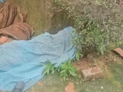 छत्तीसगढ़ में दो पारिवारिक हत्याएं: कोरबा में बेटे ने पिता की जान ली, दुर्ग में भाई ने भाई को मौत के घाट उतारा