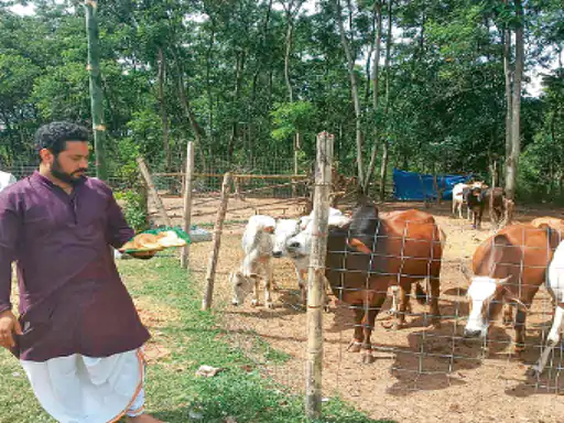 गांव के मैकेनिकल इंजीनियर ने बनाई गौशाला, सड़क पर भटकते 70 मवेशियों को संरक्षण दिया